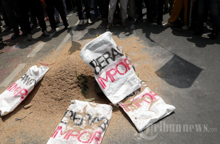 Aksi Hari Pangan Sedunia 2025