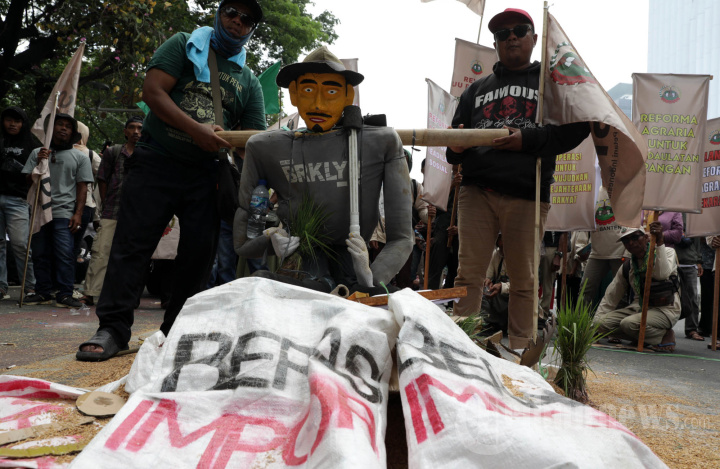 Aksi Hari Pangan Sedunia 2025