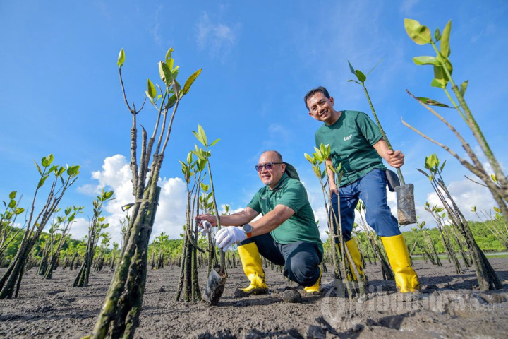 Bank-BSN-Hijaukan-Pesisir-Bali-dengan-1150-Bibit-Mangrove_20260412_163814.jpg