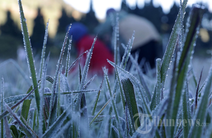 Fenomena Embun Beku di Dieng