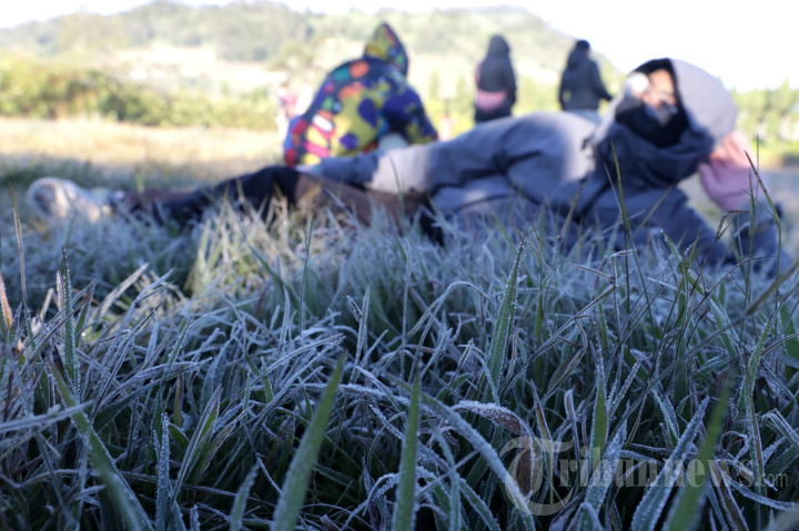 Fenomena-Embun-Beku-di-Dieng_20260611_151000.jpg