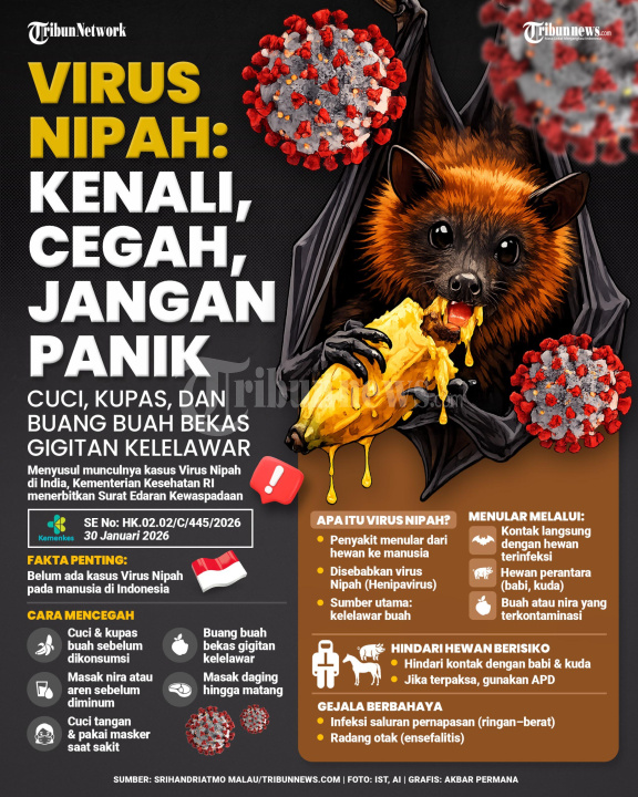 INFOGRAFIS Waspada Virus Nipah