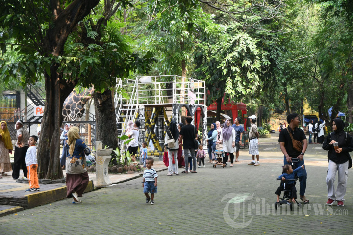 Kebun Binatang Surabaya Siapkan Pertunjukan Tambahan