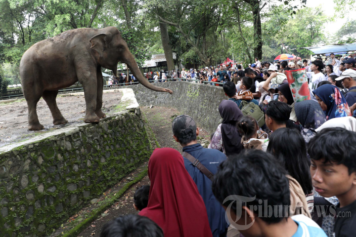 Libur Idul Fitri di Taman Margasatwa Ragunan