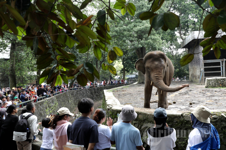 Libur Idul Fitri di Taman Margasatwa Ragunan