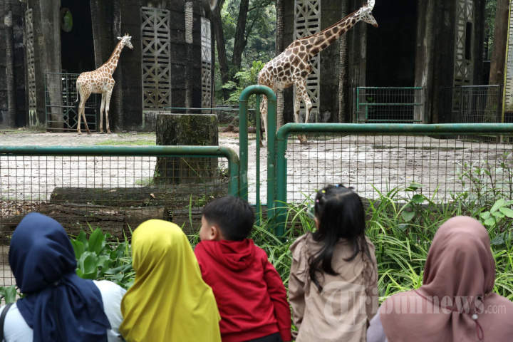 Libur Idul Fitri di Taman Margasatwa Ragunan