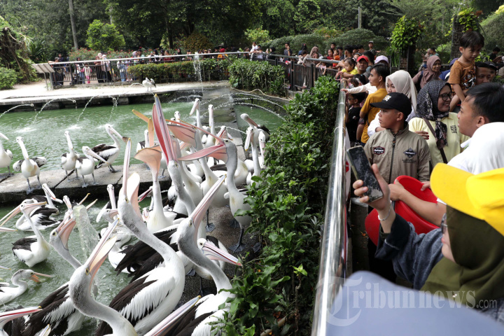 Libur Idul Fitri di Taman Margasatwa Ragunan