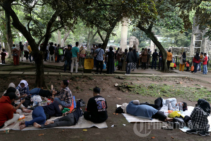Libur Idul Fitri di Taman Margasatwa Ragunan