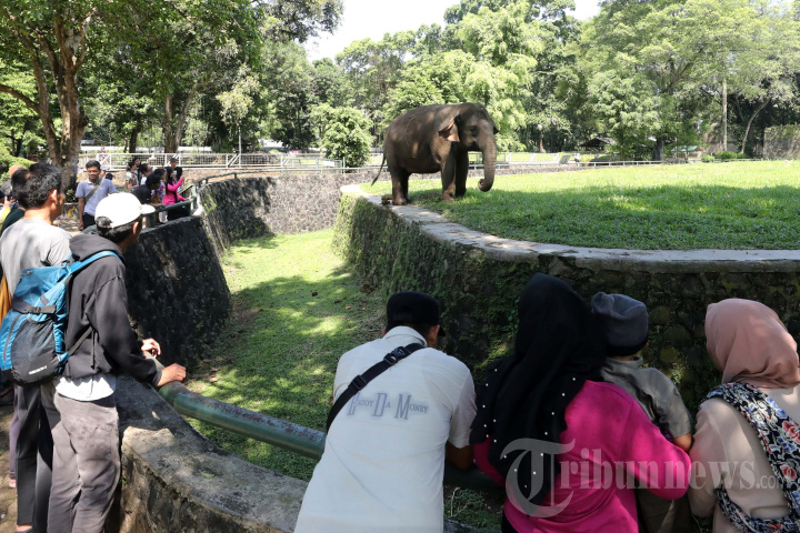 Liburan Idul Adha di Taman Margasatwa Ragunan