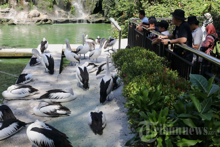 Liburan Idul Adha di Taman Margasatwa Ragunan