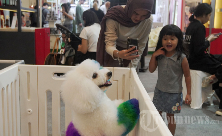 Melihat PETFEST 2025 Surganya Pecinta Hewan
