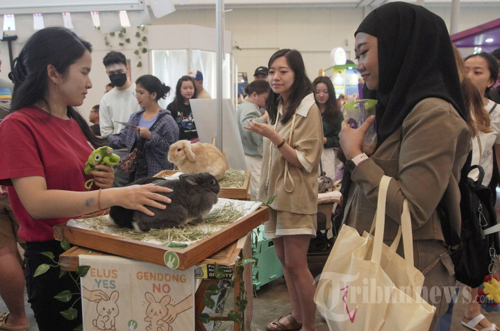 Melihat PETFEST 2025 Surganya Pecinta Hewan