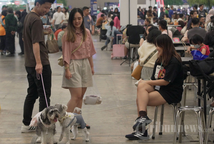 Melihat PETFEST 2025 Surganya Pecinta Hewan