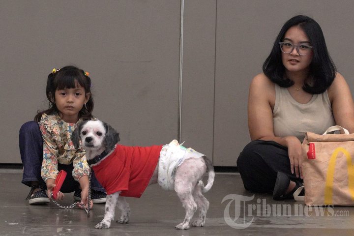 Melihat PETFEST 2025 Surganya Pecinta Hewan