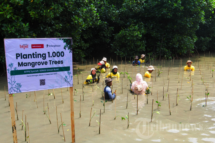 Penanaman 1.000 Bibit Mangrove di Muaragembong Bekasi