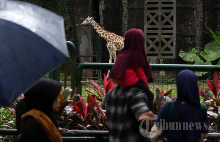 Ragunan Diserbu Warga Jakarta Saat Libur Nataru