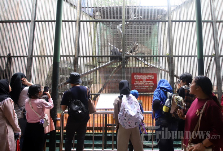 Ragunan Diserbu Warga Jakarta Saat Libur Nataru