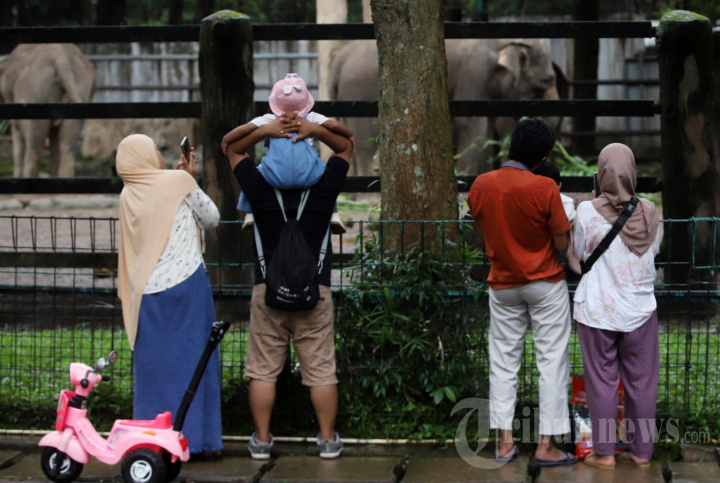 Ragunan Diserbu Warga Jakarta Saat Libur Nataru