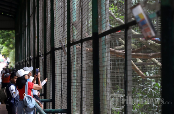 Ragunan Diserbu Warga Jakarta Saat Libur Nataru