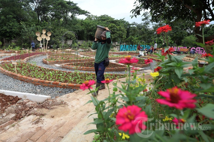 Agro Edukasi Wisata Ragunan bagi Warga Jakarta