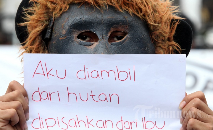 Aksi Indonesia Bebas Topeng Monyet