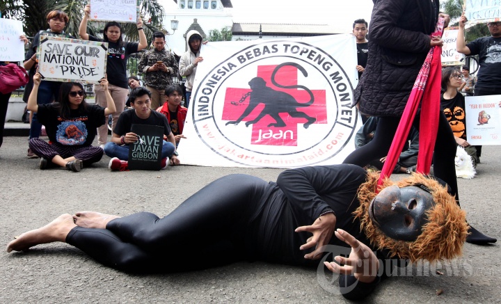 Aksi Indonesia Bebas Topeng Monyet