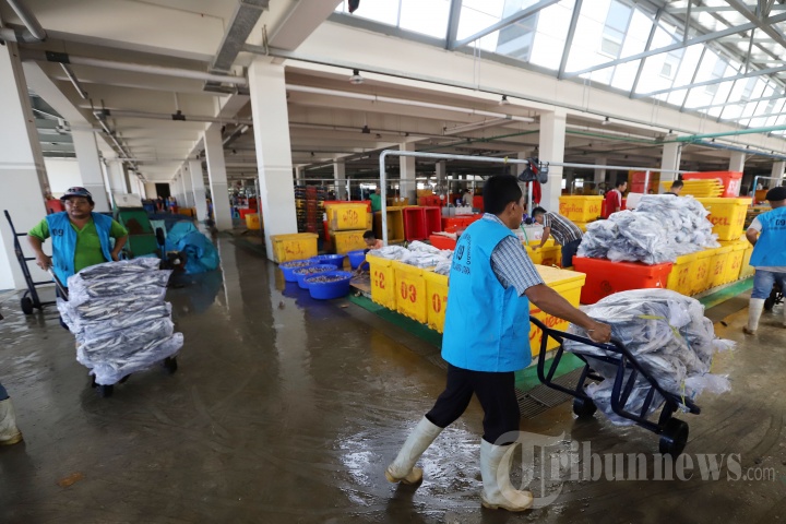 Sejumlah pedagang saat mulai melakukan aktifitas di Pasar Ikan Modern Muara Baru, Jakarta Utara, Jumat (22/2/2019). Pasar Ikan Modern Muara Baru yang dibangun diatas lahan seluas 9.856 meter persegi tersebut kini sudah mulai ditempati oleh para pedagang ikan. 