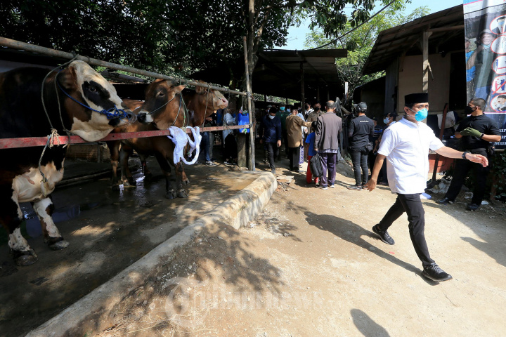 Anggota DPR Kamrussamad Berbagi Daging Kurban