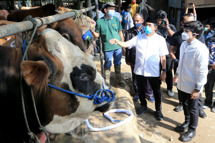 Anggota DPR Kamrussamad Berbagi Daging Kurban