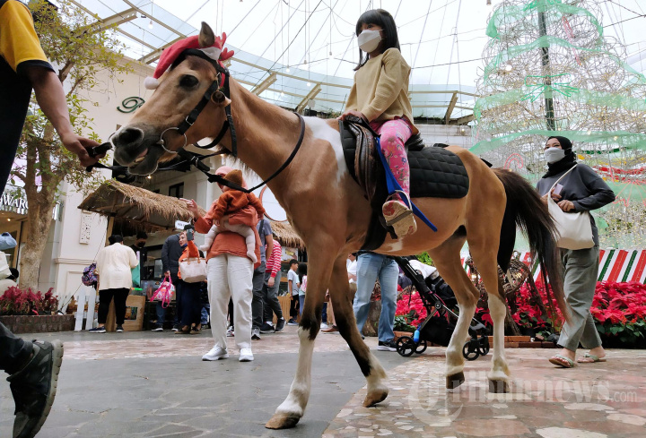 Animal Show di Mal Paris Van Java