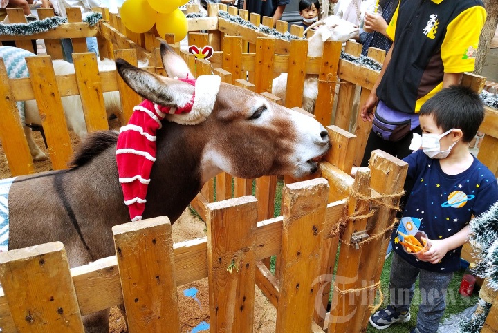 Animal Show di Mal Paris Van Java