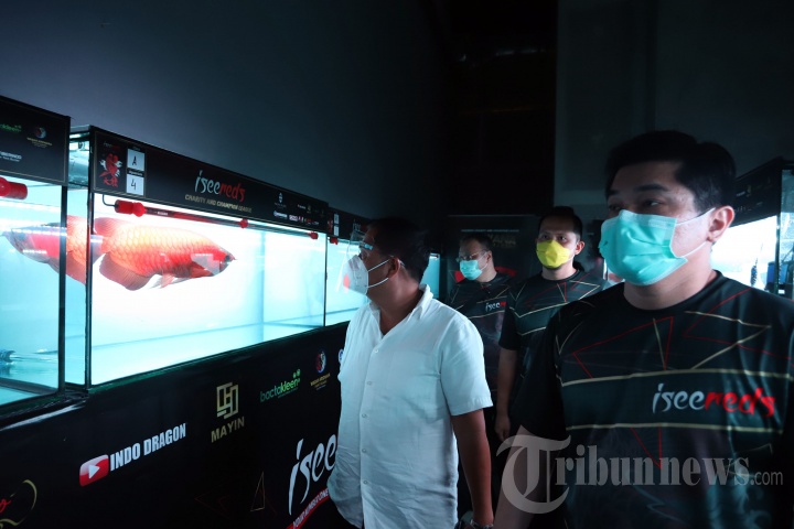 Arowana Competition & Expo di Pacific Place Mall