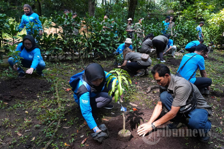 Bandung Zoo dan Hotel Hilton Bandung Tanam 30 Tanaman Buah di Ar