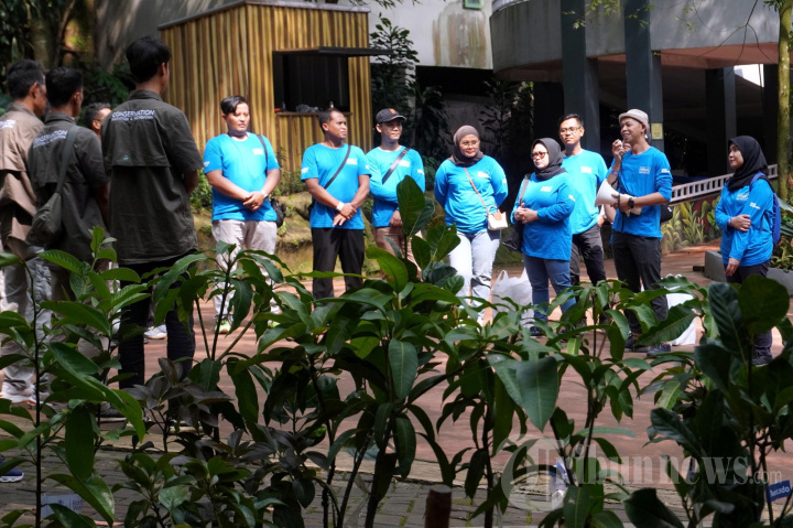Bandung Zoo dan Hotel Hilton Bandung Tanam 30 Tanaman Buah di Ar