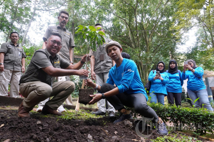 Bandung Zoo dan Hotel Hilton Bandung Tanam 30 Tanaman Buah di Ar