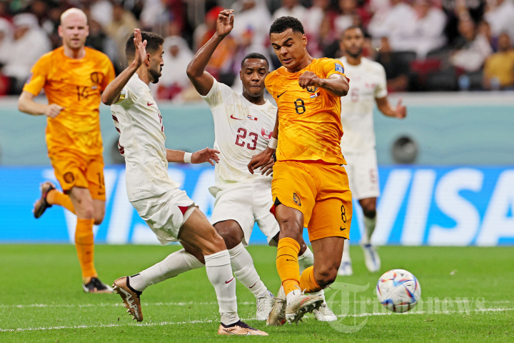 Belanda vs Qatar