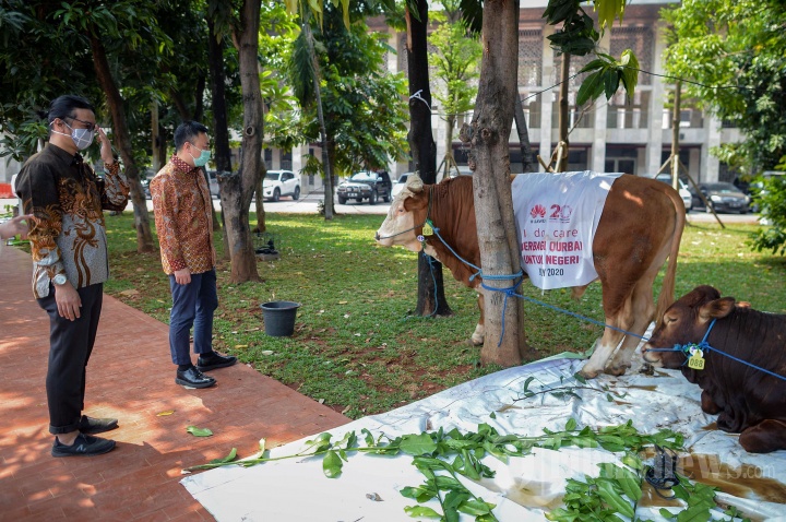 Berbagi Kurban untuk Negeri