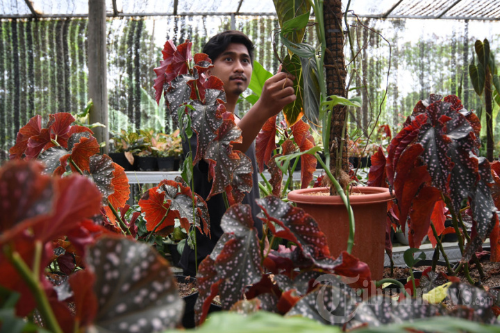 Berkunjung ke Kampung Bunga Grangsil