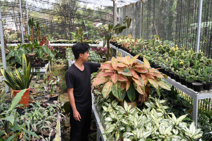Berkunjung ke Kampung Bunga Grangsil