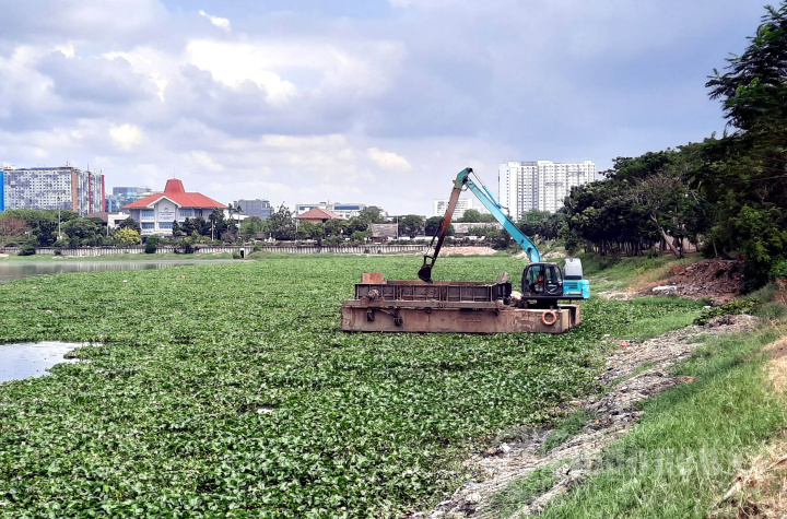Bersihkan Eceng Gondok di Waduk Pluit