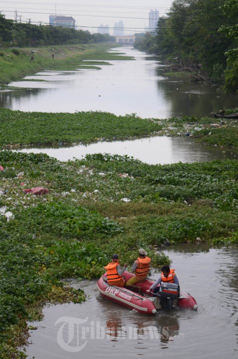 Bersihkan Sampah Enceng Godok Naik Perahu Karet