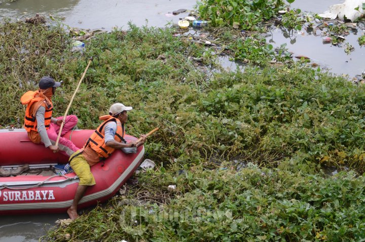 Bersihkan Sampah Enceng Godok Naik Perahu Karet
