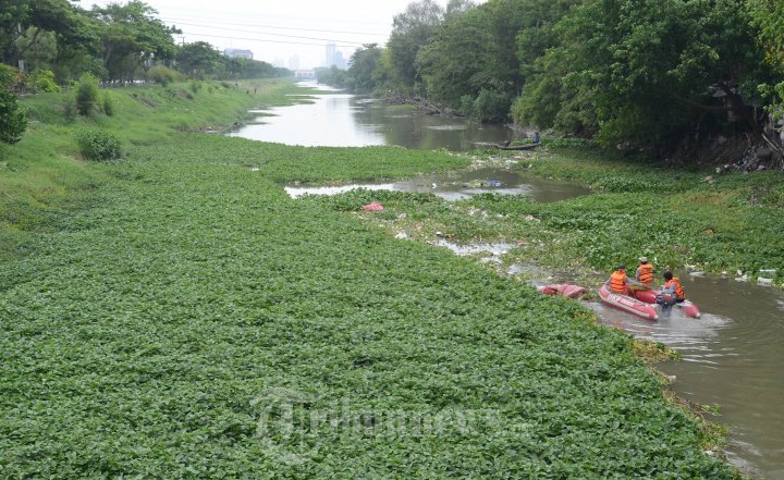 Bersihkan Sampah Enceng Godok Naik Perahu Karet