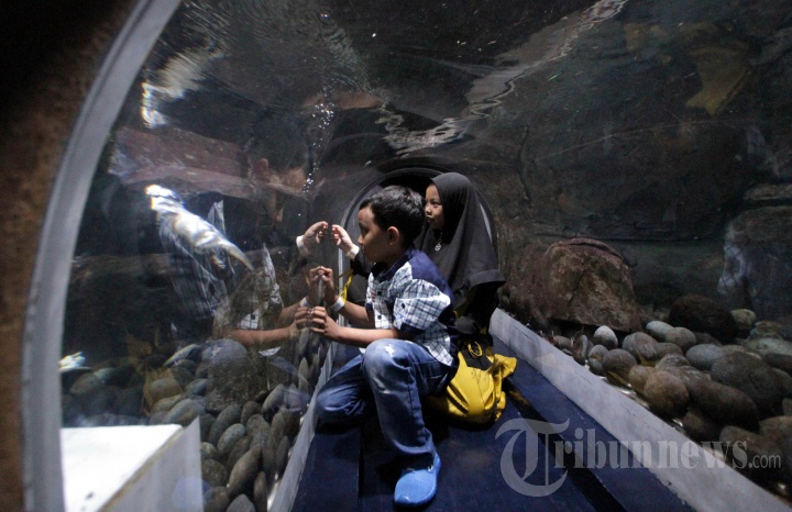 Berwisata ke Jakarta Aquarium