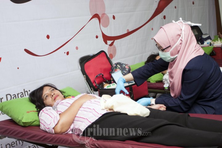 Blood For Humanity Donor Darah Gramedia Nasional