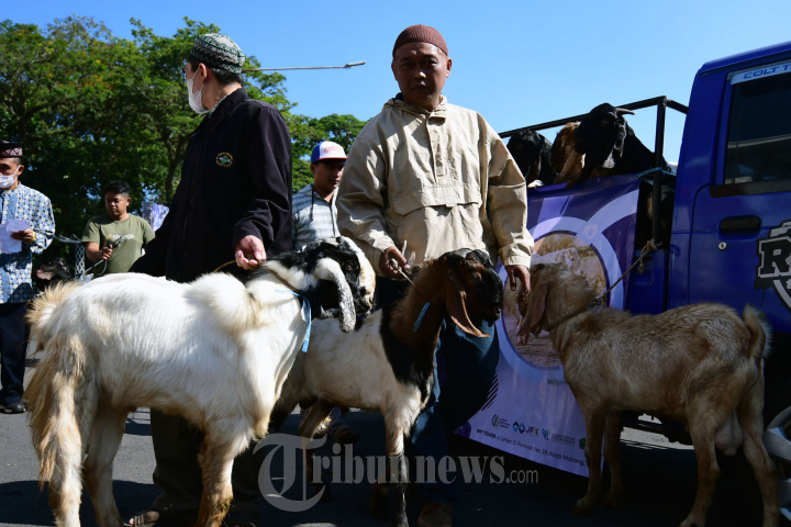 BPF Cabang Malang Serahkan Hewan Kurban ke Pemda Kota Malang