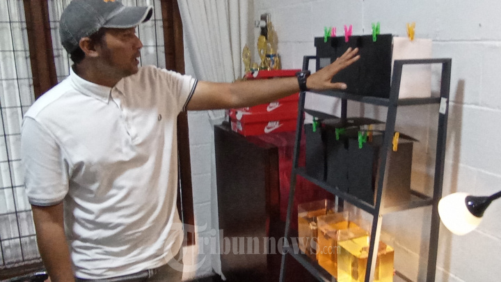 Budidaya Ikan Cupang Kualitas Ekspor