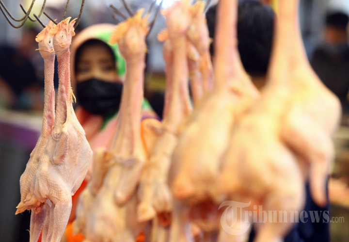 Dampak Ekonomi Pandemi Covid-19 Bagi Pedagang Ayam Potong