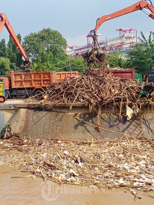 Dinas Kebersihan Bersihkan Sampah di Pintu Air Manggarai