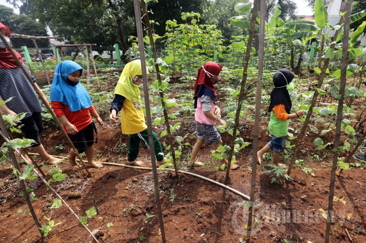 Edukasi Urban Farming